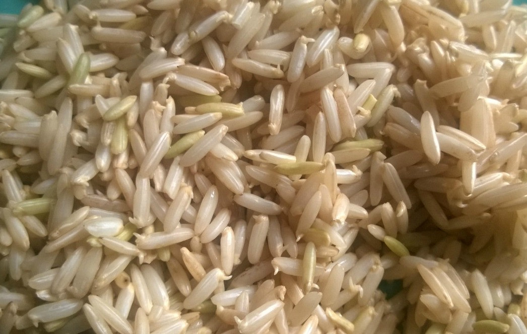 Gạo mầm cũng nổi tiếng là một lọai gạo tốt cho sức khỏe. Ảnh: nutrucation.