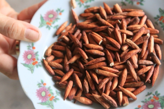 Mứt hạt bàng Côn Đảo cũng là đặc sản thơm ngon của Vũng Tàu bạn có thể mua về làm quà cho bạn bè và người thân. Ảnh: dacsanvina.