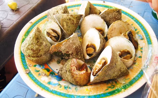 Bên cạnh đó, ốc vú nàng là đặc sản nhất định phải thử đối với những người yêu thích hải sản khi đến Vũng Tàu. Ảnh: dacsanvina.