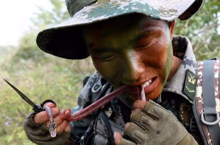 Lính Trung Quốc “ăn tươi nuốt sống” rắn độc trong một cuộc huấn luyện sinh tồn.