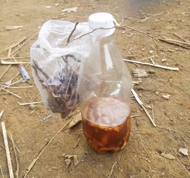 Hai cau chau tu vong nghi ngo doc ruou: Nguyen nhan day bat ngo