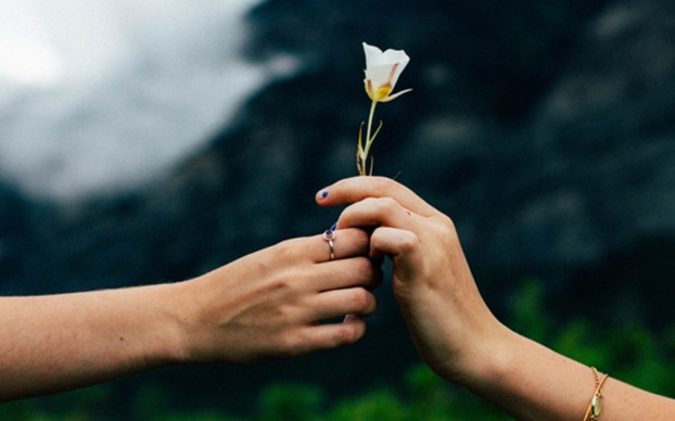 7 phuong phap khong ai ngo giup bo nao thong minh hon binh thuong-Hinh-3