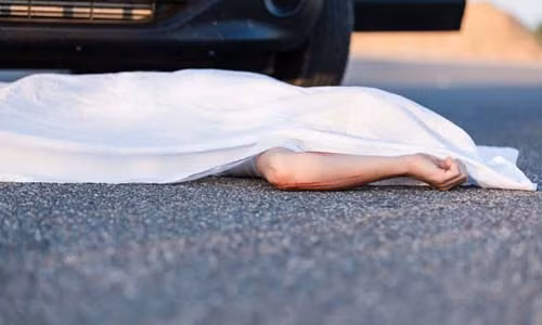 Hai người dân Canada đã tử vong trong một tai nạn hy hữu năm 2011 tại vùng ngoại ô cách thủ đô Ottawa 40 km về phía bắc. Khi ấy, một chiếc xe đã tông phải một con gấu đen nặng khoảng 200 kg và hất văng con vật lên không trung. Kế đến, con gấu rơi xuống một ô tô khác làm hai người trong xe thiệt mạng.