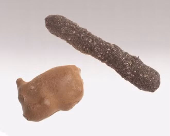 Đây là thiết bị phát hiện đột nhập được thiết kế để chôn dưới lòng đất. Trong Chiến tranh Lạnh, thiết bị này giúp phát hiện kẻ thù từ cách xa 304 km.