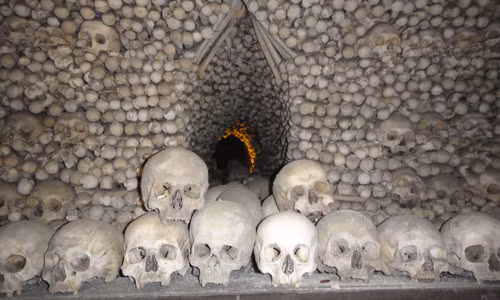 Trong số khoảng 55,3 triệu người tử vong mỗi năm, khoảng 9,5 triệu người chết là ở Trung Quốc