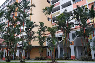 Để làm được điều này, Thủ tướng Lý Quang Diệu và chính phủ đã ra lệnh cấm bán và nhập khẩu kẹo cao su kể từ năm 1992. Theo đó, Singapore cấm những hành vi như nhổ bã kẹo cao su, khạc nhổ... tại địa điểm công cộng có thể bị phạt tiền nặng hay người bán kẹo cao su trái phép có thể bị phạt 2 năm tù và hơn 70.000 USD.