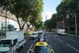 Thủ tướng Singapore Lý Quang Diệu đã tự tay cuốc đất trồng cây thành ngạnh và duy trì truyền thống này mỗi năm.