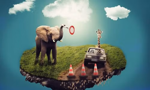 Mỗi người đều nằm mơ mỗi đêm. Đối với mỗi người, mỗi giấc mơ có những nội dung khác nhau nên có những ý nghĩa riêng. Có người có giấc mơ đẹp nhưng cũng có người nằm mơ thấy ác mộng.