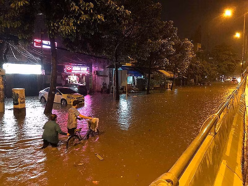 Hiện nay tuyến đường này có 459 cây xanh, nhưng khi thực hiện dự án, những cây xanh bị cấm trồng, sinh trưởng yếu... sẽ bị đốn hạ để trồng cây mới (khoảng 60 cây bị đốn hạ).