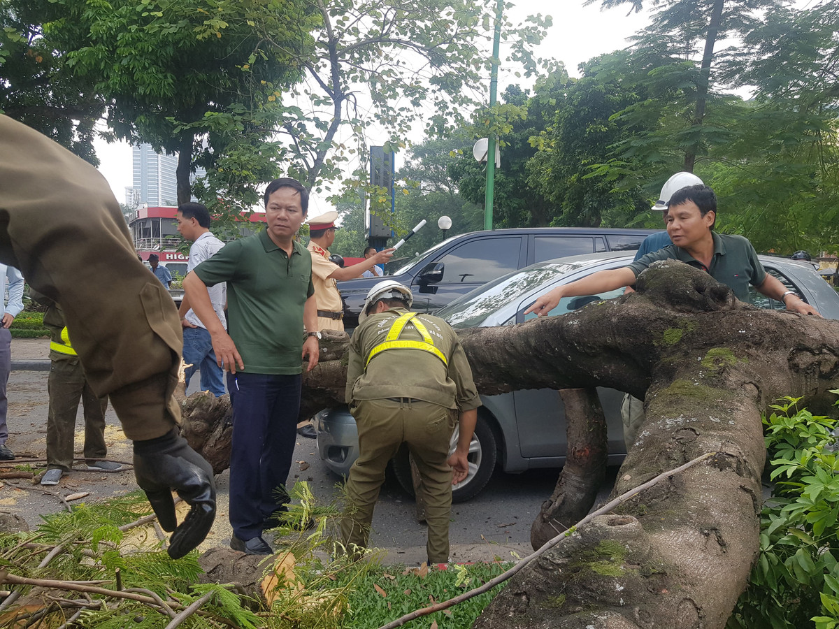 Anh Hải cho biết thêm: “Tôi thấy nhiều người hốt hoảng chạy dạt sang vỉa hè 2 bên đường. Ở giữa đường Thanh Niên, một cây phượng lớn đổ trúng vào chiếc xe ô tô làm móp méo đầu mũi xe. Rất may khi cây đổ không gây thương vong về người”.