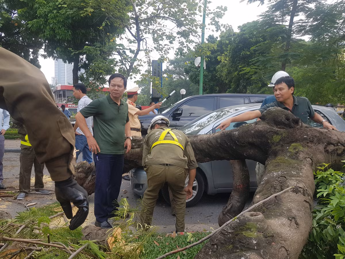 Anh Hải cho biết thêm: “Tôi thấy nhiều người hốt hoảng chạy dạt sang vỉa hè 2 bên đường. Ở giữa đường Thanh Niên, một cây phượng lớn đổ trúng vào chiếc xe ô tô làm móp méo đầu mũi xe. Rất may khi cây đổ không gây thương vong về người”.