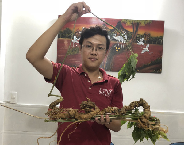 Sam Ngoc Linh quy 100 nam tuoi, dai gia bo tien ty tau ve nang niu nhu bau vat-Hinh-3