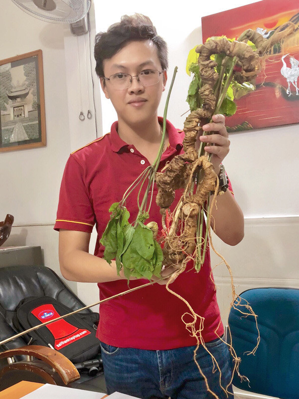 Sam Ngoc Linh quy 100 nam tuoi, dai gia bo tien ty tau ve nang niu nhu bau vat-Hinh-4