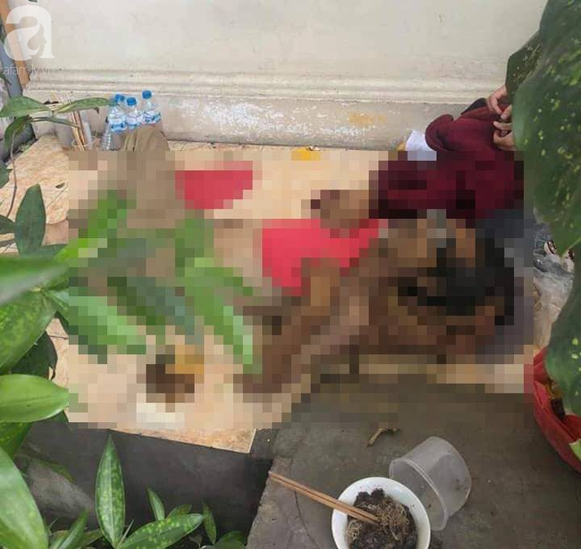 Ha Noi: Cu ong tu vong khi tru nang, nghi bi soc nhiet do troi nong gay gat keo dai-Hinh-2