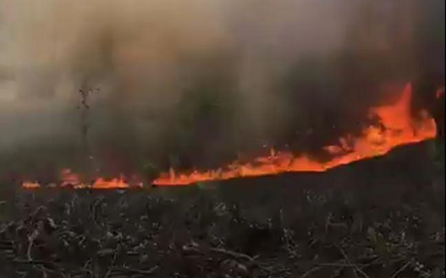 Nang nong do lua, chay rung lien tiep o Thua Thien Hue