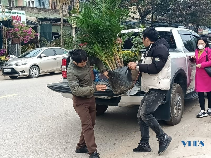 Đa số những người chọn mua hoa, cây cảnh sớm đều tập trung vào hai lý do, đó là tiết kiệm chi phí và đặc biệt là có nhiều sự lựa chọn hơn.