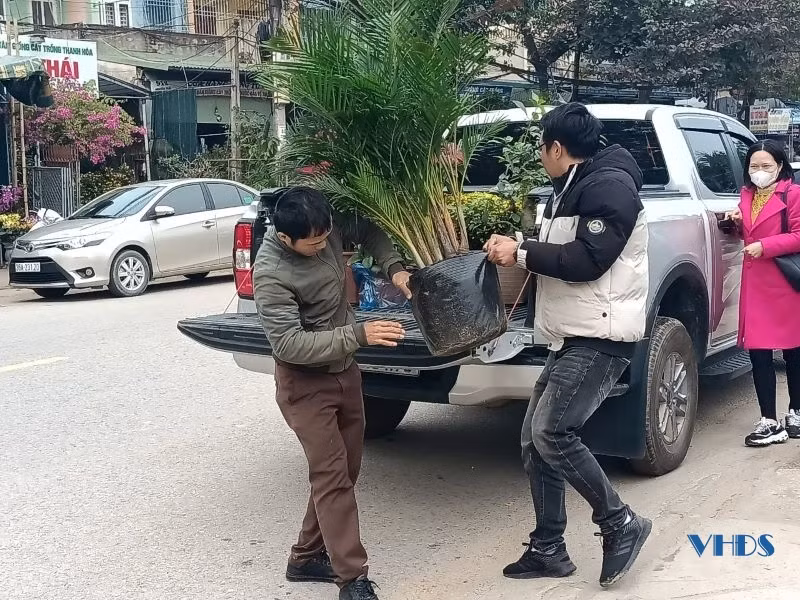 Đa số những người chọn mua hoa, cây cảnh sớm đều tập trung vào hai lý do, đó là tiết kiệm chi phí và đặc biệt là có nhiều sự lựa chọn hơn.