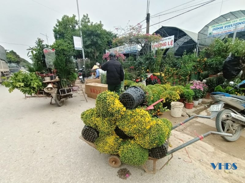 Đáp ứng nhu cầu khách hàng, nhà vườn đã phải tuyển thêm lao động và kéo dài thời gian phục vụ người tiêu dùng.