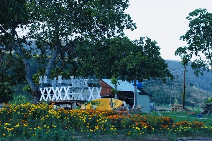 Doi huong duong- diem dung chan khong the bo qua khi den Krong Pa-Hinh-2