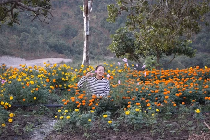 Doi huong duong- diem dung chan khong the bo qua khi den Krong Pa-Hinh-3