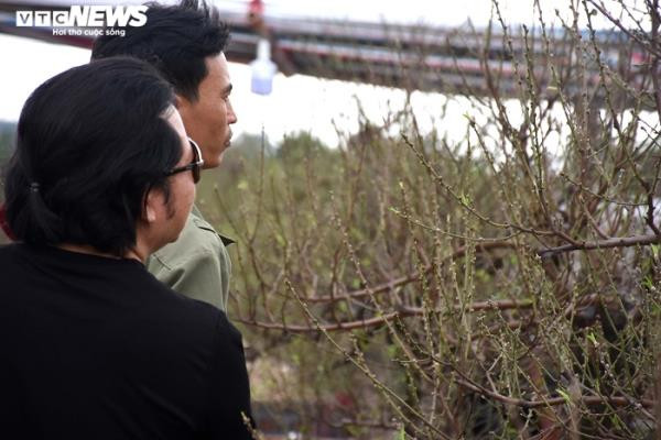 Theo các chủ vườn, so với những năm trước, giá đào cho thuê năm nay cao hơn 500.000 – 2.000.000 đồng/gốc nhưng không vì thế lượng người thuê cây "giảm nhiệt". Hàng ngày, khu trồng đào tập trung ở xã Đặng Cương thu hút hàng trăm lượt khách tới đặt thuê đào Tết với giá có cây lên tới hơn chục triệu đồng.