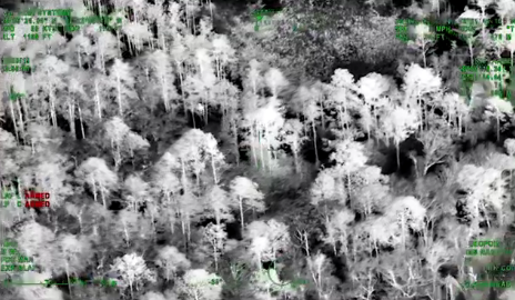 Lạc trong rừng, thoát hiểm thần kỳ nhờ… điện thoại iPhone Lac trong rung, thoat hiem than ky nho… dien thoai iPhone