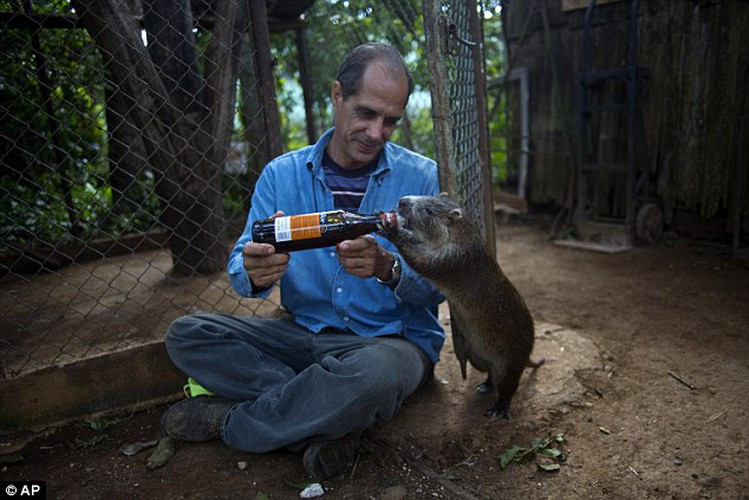 Vợ chồng ông Lopez nói rằng loài gặm nhấm là người bạn đồng hành tuyệt vời trong cuộc sống của gia đình mình.