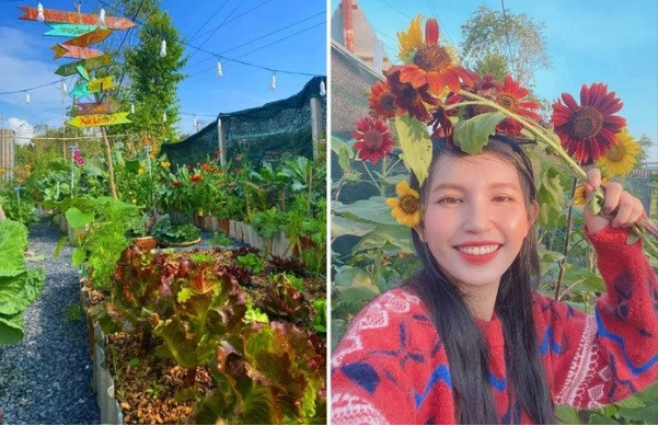 Khu vườn trăm loạt rau đẹp lung linh ở Củ Chi - Hình 3 Khu vuon tram loat rau dep lung linh o Cu Chi-Hinh-3