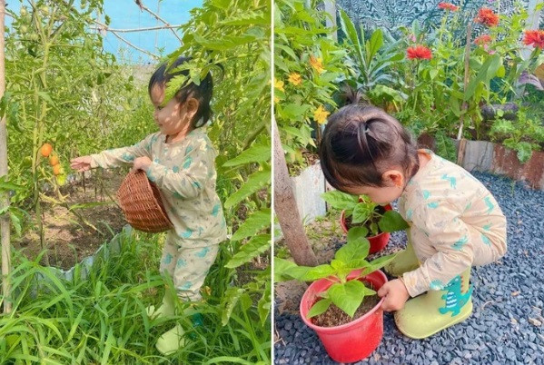 Khu vườn trăm loạt rau đẹp lung linh ở Củ Chi - Hình 5 Khu vuon tram loat rau dep lung linh o Cu Chi-Hinh-5