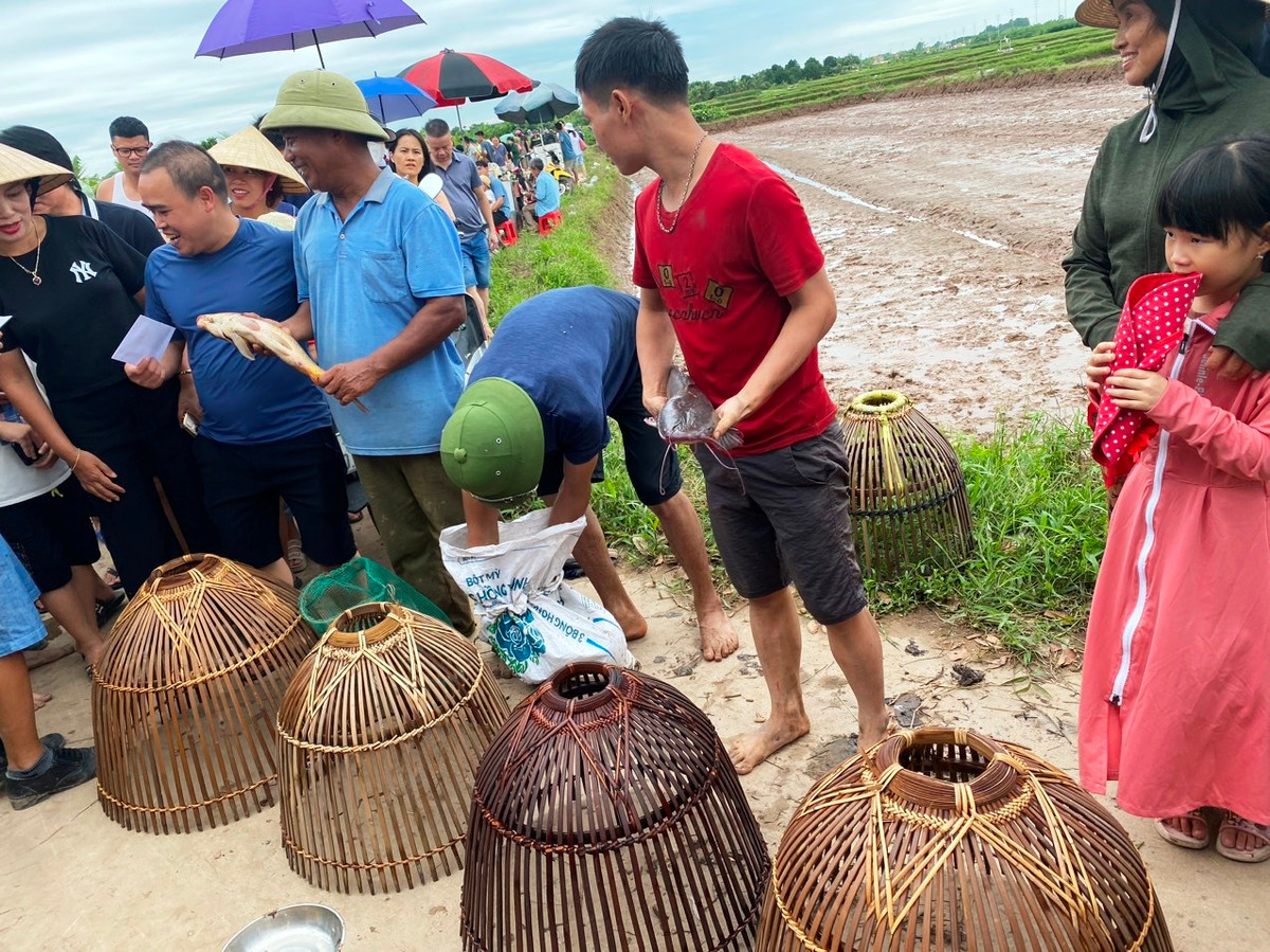 Những người úp nươm được cá lớn nhất sẽ được nhận giải.