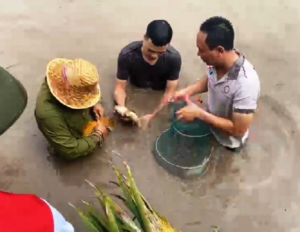 Thành quả của một trong số những người tham gia hội.