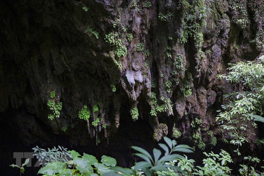 Vẻ đẹp nguyên vẹn từ các thạch nhũ phía trước cửa Hang Sưng. (Ảnh: Trọng Đạt/TTXVN) 