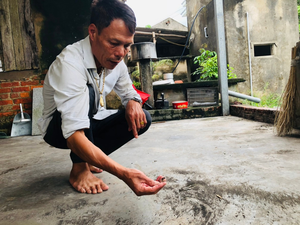 Bụi do tro xỉ NM Nhiệt điện Hải Dương: Yêu cầu dừng vận chuyển bằng đường thủy - Hình 3 Bui do tro xi NM Nhiet dien Hai Duong: Yeu cau dung van chuyen bang duong thuy-Hinh-3