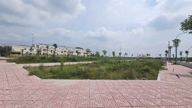 Hà Nội xử lý nghiêm, công khai người “bỏ cọc” đấu giá đất Ha Noi xu ly nghiem, cong khai nguoi “bo coc” dau gia dat