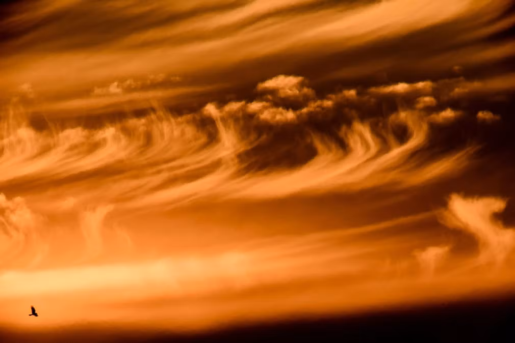 Chim bay trên nền trời lúc bình minh ở Karancsság, Hungary. (Nguồn Guardian)