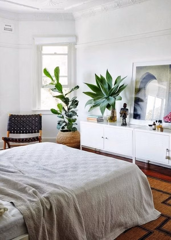 Đặt cây um tùm ở đầu giường tạo độ ẩm cao, làm mất cân đối âm - dương, ảnh hưởng trực tiếp đến sức khỏe của hai vợ chồng. Ảnh: Bedroom.