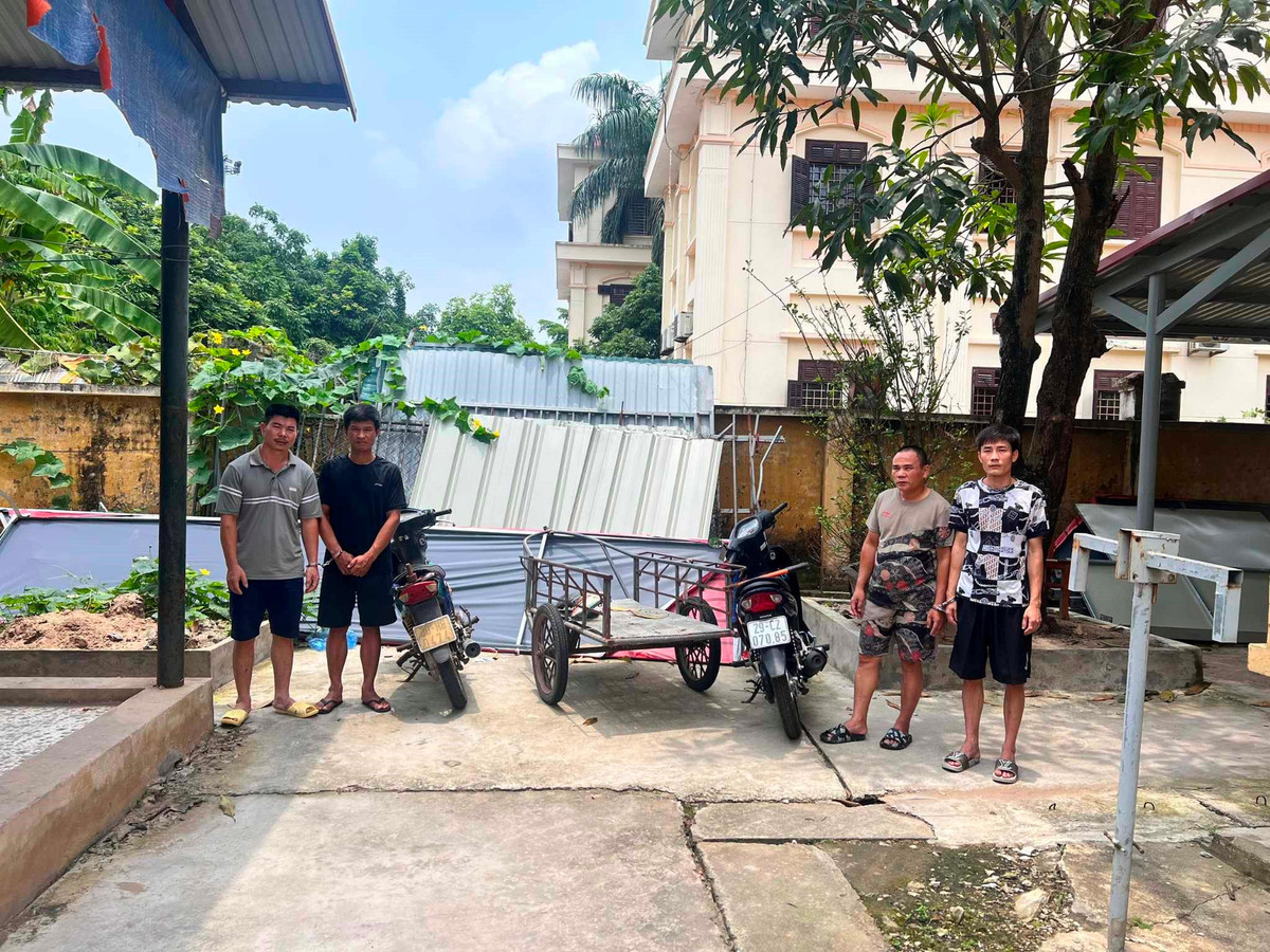 Ha Noi: Bat nhom cat trom duong day cap lam mat dien ca vung