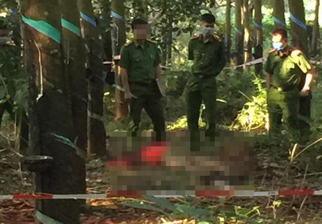 Sau khi tiến hành khám nghiệm hiện trường, khám nghiệm tử thi, thông báo đặc điểm nhận dạng nạn nhân đến địa bàn lân cận, danh tính nạn nhân được xác định là anh Tráng A Miều, trú tại xã Mậu Duệ, huyện Yên Minh. Nạn nhân bị sát hại hết sức dã man bằng dao quắm, vật tày, lại bị phân xác mất đầu, chỉ còn lại phần cơ thể dập nát, đa chấn thương. Anh Miều là người hiền lành, tốt tính, kinh tế gia đình khá giả, vợ con đề huề và đã có cháu gọi là ông nội. Ngoài làm ruộng, gia đình anh Miều còn nuôi đàn bò thịt để bán, nhân thể thu gom luôn bò thịt của bà con quanh vùng bán cho thương lái. (Ảnh minh họa, nguồn internet)