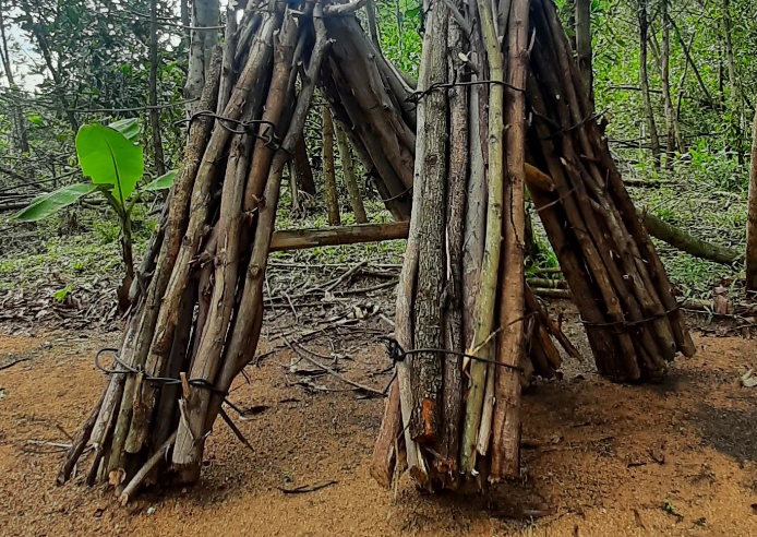 Lời khai ban đầu của các hung thủ cho thấy: Chiều 4/8, Pó đi lấy củi ở bìa rừng thì tình cờ gặp anh Tráng A Miều đi xe máy tới. Anh Miều có hỏi Pó “Nhà có bò bán không”, Pó nhìn Miều từ đầu đến chân rồi bảo "không có". Sau đó Pó tiếp tục đi lấy củi, còn Miều cũng phóng xe máy đi. Tuy vậy, câu hỏi của Miều bỗng ám ảnh trong đầu Pó. Pó nghĩ người này đi xe máy, lại hỏi mua bò chắc hẳn phải giàu có lắm và mang theo người rất nhiều tiền. Nghĩ đến thân mình làm chẳng đủ ăn, nhà không có nổi con bò, cũng chẳng có xe máy nên Pó bỗng nảy sinh ý định chặn đường giết chết Miều để cướp tiền. (Ảnh minh họa, nguồn internet)