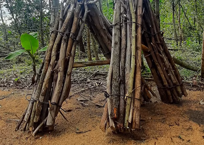 Lời khai ban đầu của các hung thủ cho thấy: Chiều 4/8, Pó đi lấy củi ở bìa rừng thì tình cờ gặp anh Tráng A Miều đi xe máy tới. Anh Miều có hỏi Pó “Nhà có bò bán không”, Pó nhìn Miều từ đầu đến chân rồi bảo "không có". Sau đó Pó tiếp tục đi lấy củi, còn Miều cũng phóng xe máy đi. Tuy vậy, câu hỏi của Miều bỗng ám ảnh trong đầu Pó. Pó nghĩ người này đi xe máy, lại hỏi mua bò chắc hẳn phải giàu có lắm và mang theo người rất nhiều tiền. Nghĩ đến thân mình làm chẳng đủ ăn, nhà không có nổi con bò, cũng chẳng có xe máy nên Pó bỗng nảy sinh ý định chặn đường giết chết Miều để cướp tiền. (Ảnh minh họa, nguồn internet)