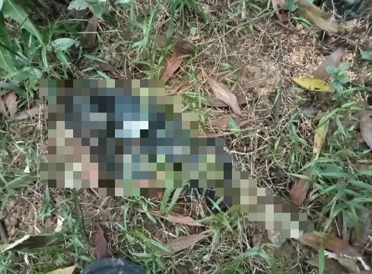 Theo hồ sơ vụ án, lúc 8h30 ngày 5/8/2013, tại đoạn đường liên thôn thuộc thôn Vị Ke, xã Nậm Ban, huyện Mèo Vạc, một người đàn ông đi cắt cỏ cho bò ngang qua đoạn ta luy âm bỗng ngửi thấy mùi xú uế. Nhìn xuống dưới chân mình thì kinh hoàng phát hiện một tử thi nam không còn đầu nằm ở đó tự bao giờ. Sau phút định thần, người dân tri hô và báo án tới cơ quan chức năng. (Ảnh minh họa, nguồn internet)