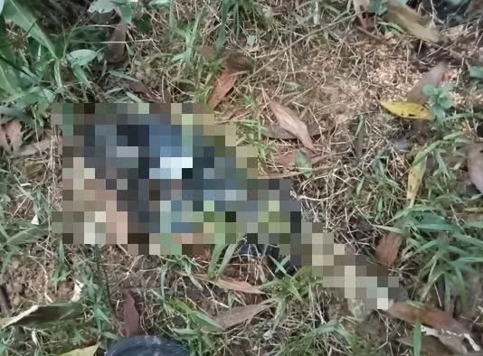 Theo hồ sơ vụ án, lúc 8h30 ngày 5/8/2013, tại đoạn đường liên thôn thuộc thôn Vị Ke, xã Nậm Ban, huyện Mèo Vạc, một người đàn ông đi cắt cỏ cho bò ngang qua đoạn ta luy âm bỗng ngửi thấy mùi xú uế. Nhìn xuống dưới chân mình thì kinh hoàng phát hiện một tử thi nam không còn đầu nằm ở đó tự bao giờ. Sau phút định thần, người dân tri hô và báo án tới cơ quan chức năng. (Ảnh minh họa, nguồn internet)