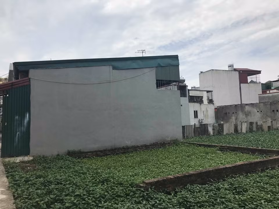 Thửa ruộng hiện đã được phân lô một cách rõ ràng.