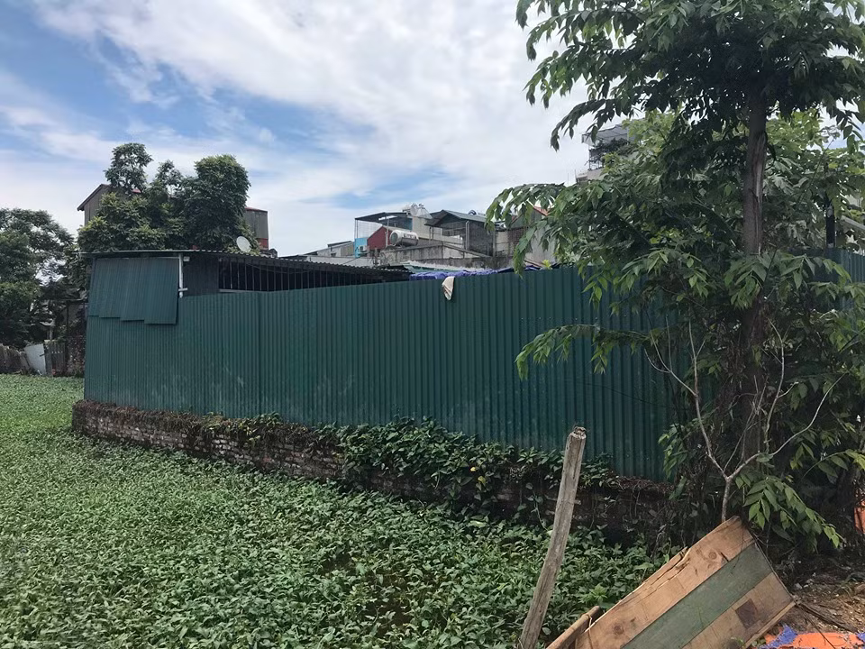 Những thửa đất vốn dĩ trước đó được trồng rau nay nhanh chóng được phân lô dựng nhà kiên cố.