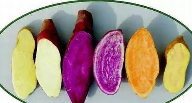 An khoai lang kieu nay hai du duong cho suc khoe-Hinh-2