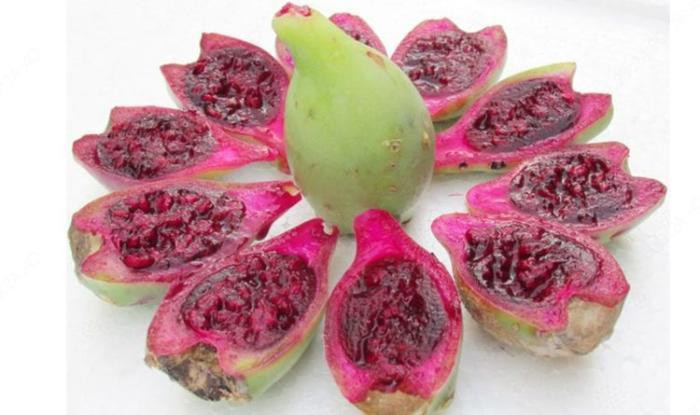 Kiem tram trieu ngon lanh voi loai qua gai goc nay