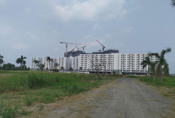 Doanh nghiep tiep thanh tra: 138 lan/nam van tac