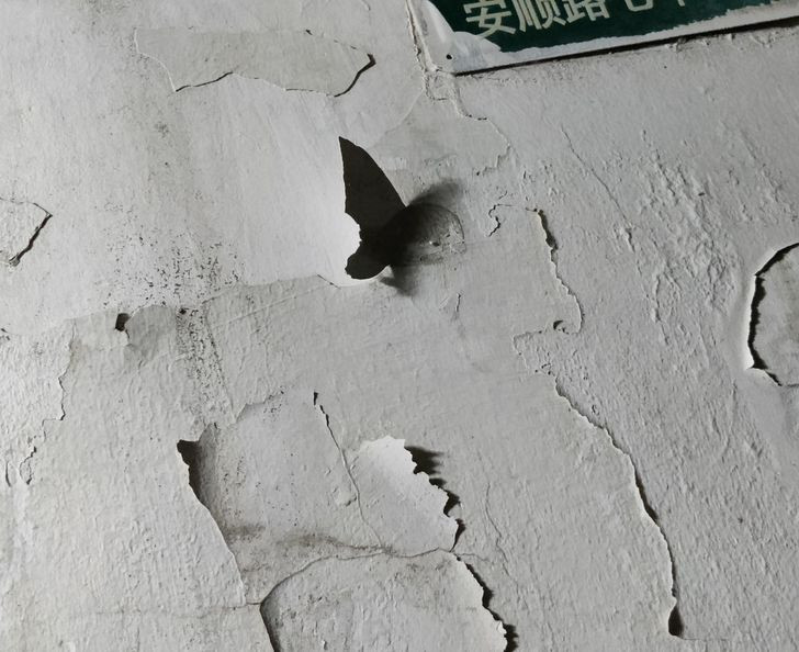 Mảng tường bong tróc khiến nhiều người nhầm tưởng là một con bướm đậu trên tường.