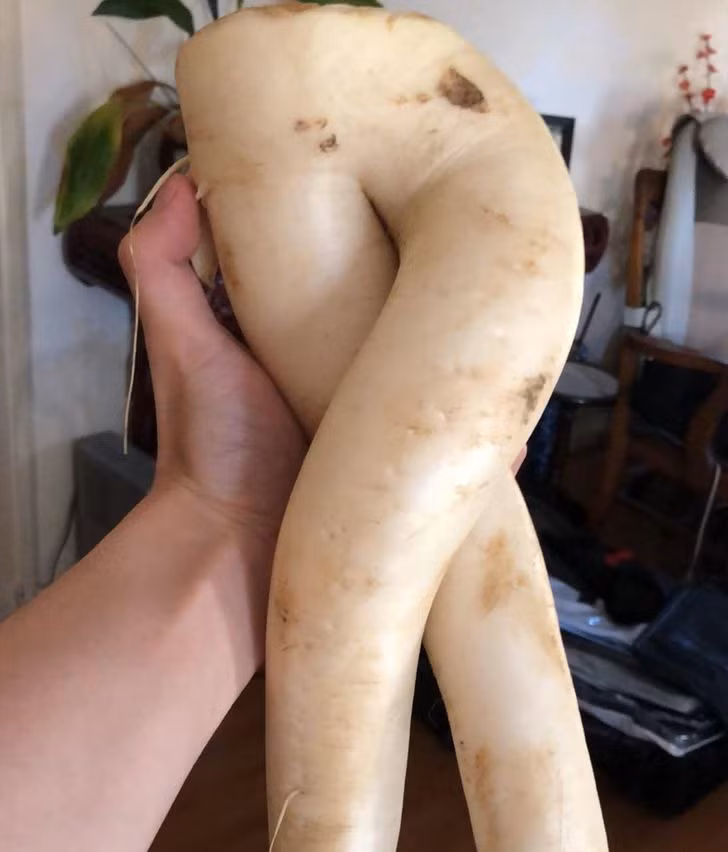 Tưởng là đôi chân hoàn mỹ...ai ngờ thực chất là củ cải.