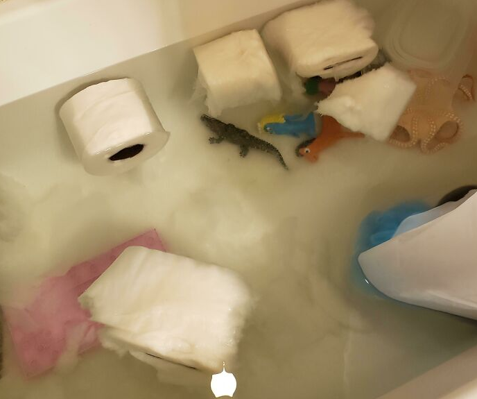 “Đứa con mới biết đi của tôi cho những cuộn giấy vệ sinh...tắm”.